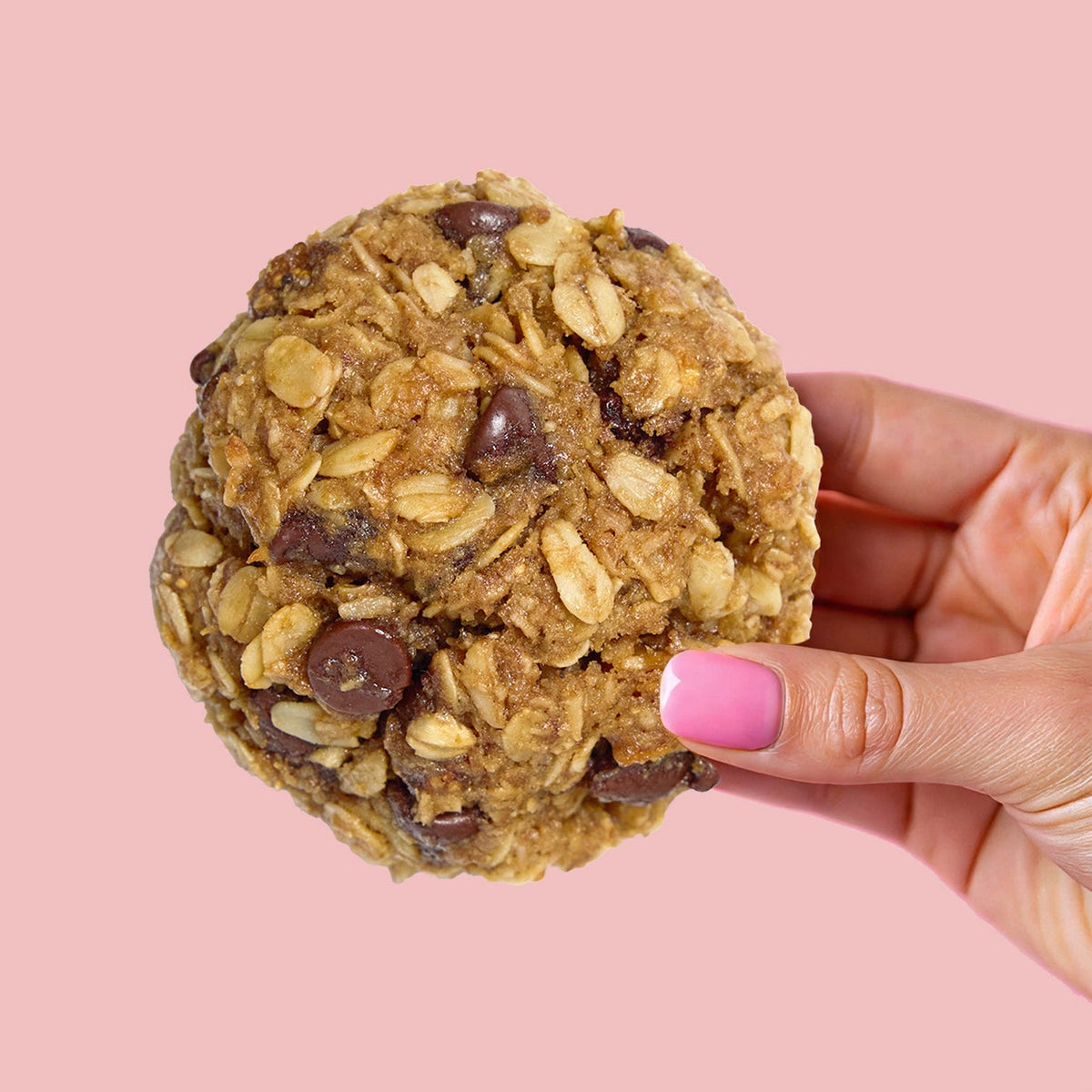 Close-up of Nibbles & Nurture’s Fig & Dark Chocolate Lactation Biscuit — a nourishing postpartum snack made with oats and wholefoods to support breastfeeding mums.
