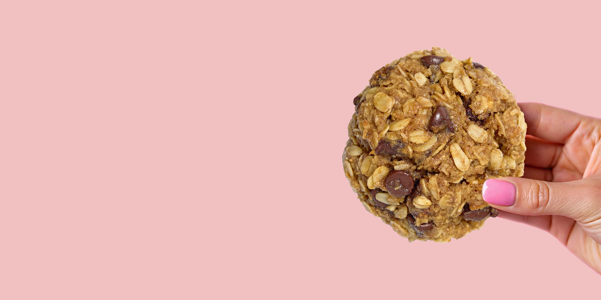 Hand holding a lactation biscuit made with oats and chocolate chips. Nutrient-dense snack for breastfeeding support and postpartum recovery.